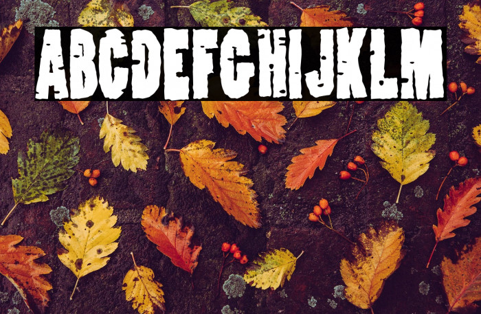 Cristales Rotos Example 3