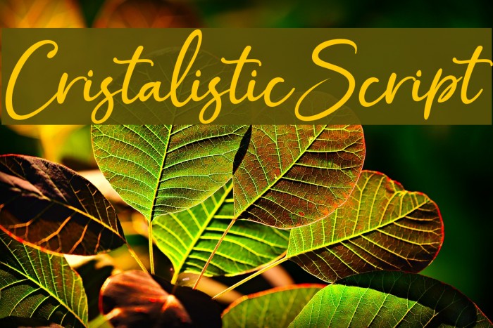 CristalisticScript Font examples