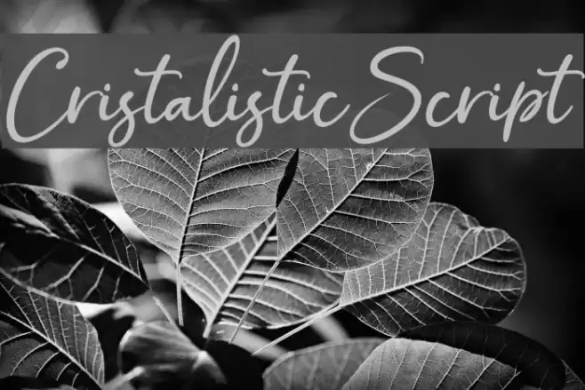 CristalisticScript Fonte examples