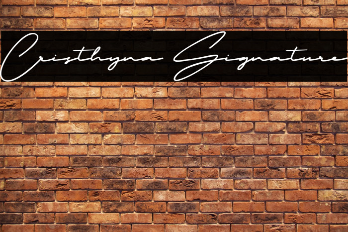 Cristhyna Signature Example 2