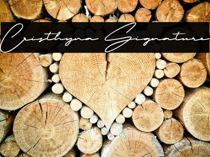 Cristhyna Signature Example 3