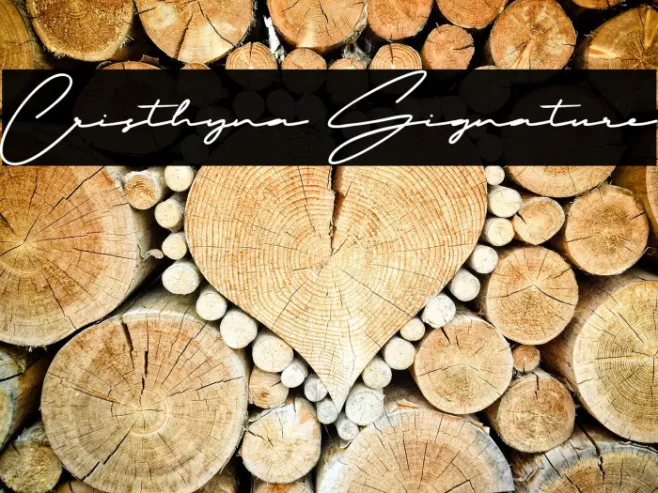 Cristhyna Signature Example 3
