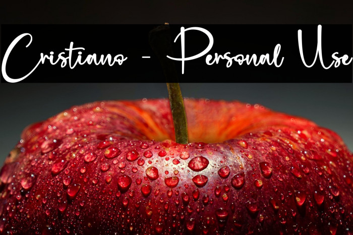 Cristiano - Personal Use Example 2