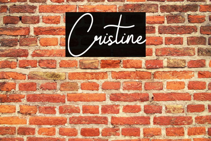 Cristine Example 2