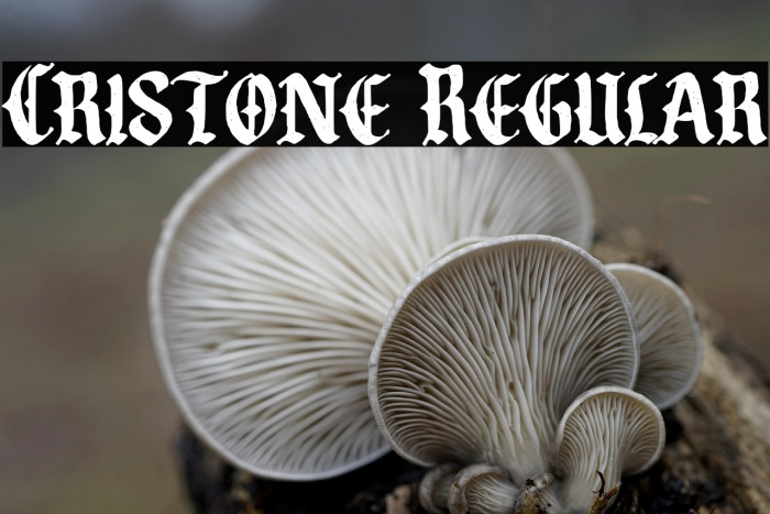 Cristone Regular Example 2