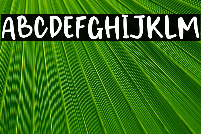 Cristopher Shake Example 1