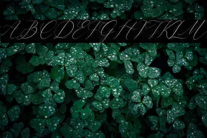 Cristtina Delmonte Italic Example 1