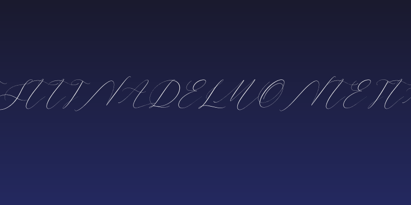 Cristtina Delmonte Italic Social Header