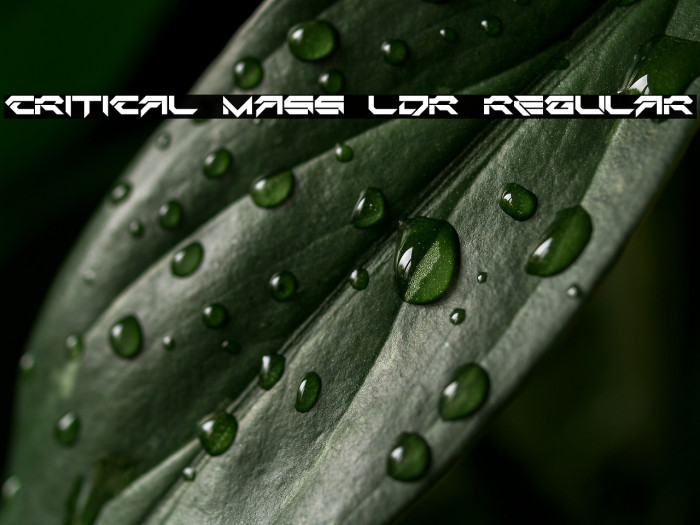 Critical Mass LDR Regular Example 1