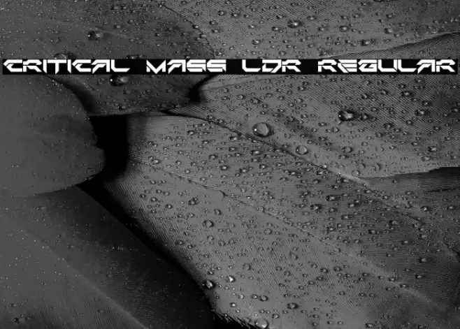 Critical Mass LDR Regular Font examples