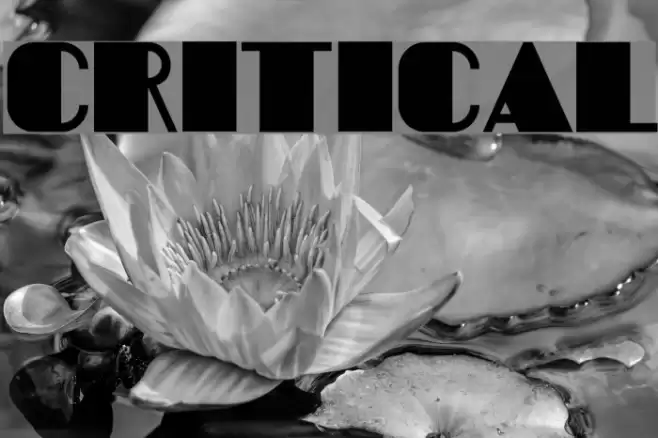 Critical Font examples