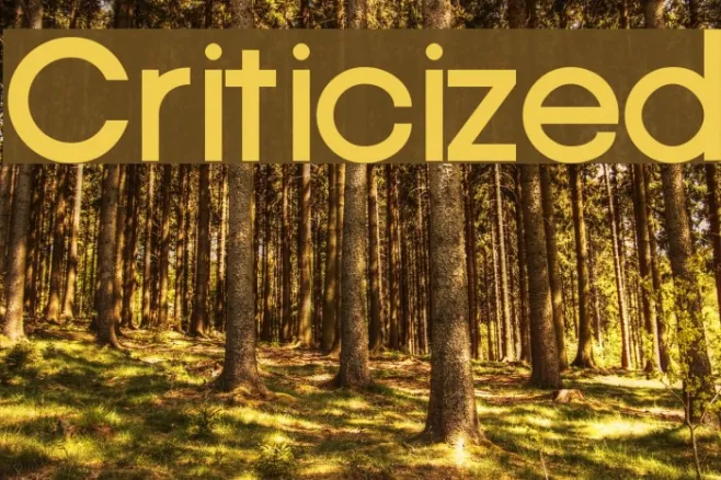 Criticized Example 1