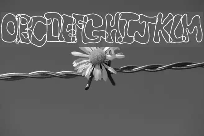 CritterIsRad Font examples