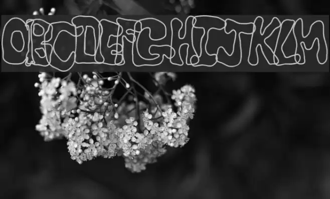 CritterIsRad Font examples