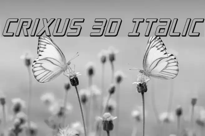 Crixus 3D Italic Fuentes examples