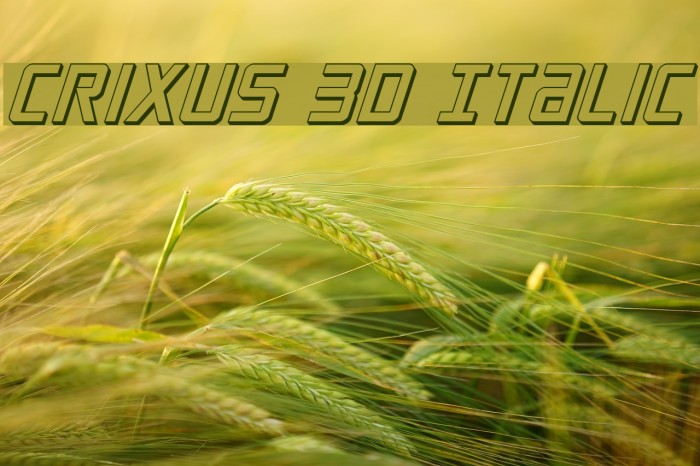 Crixus 3D Italic Caratteri examples