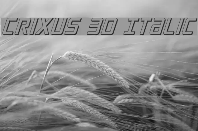 Crixus 3D Italic Fuentes examples