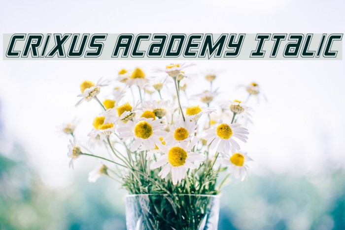 Crixus Academy Italic Font examples