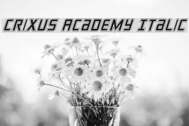Crixus Academy Italic خط examples