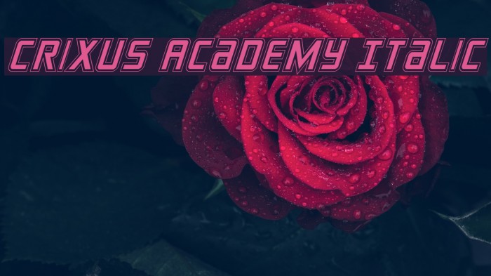 Crixus Academy Italic Font examples