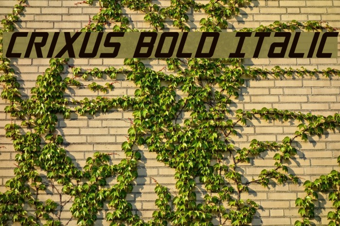 Crixus Bold Italic Font examples