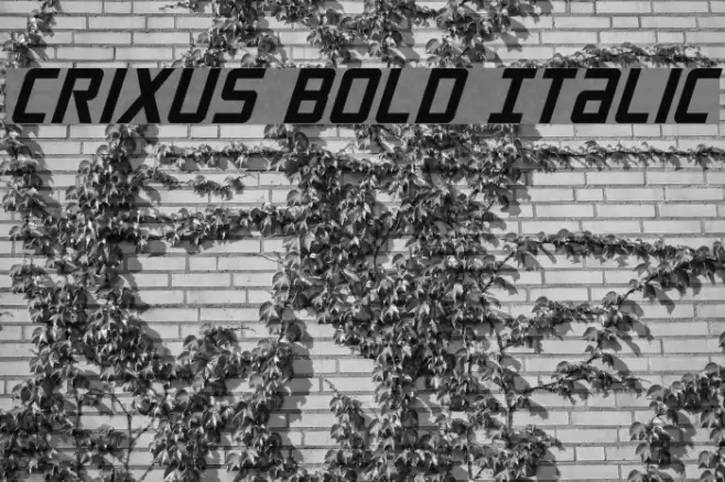 Crixus Bold Italic Polices examples