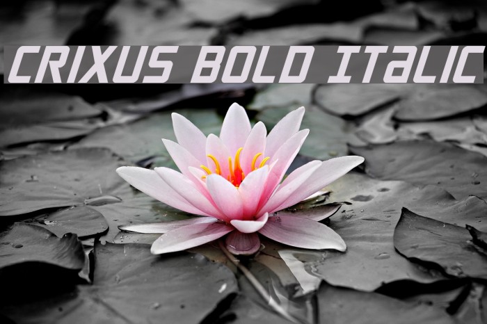 Crixus Bold Italic Font examples
