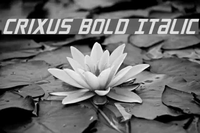 Crixus Bold Italic Polices examples