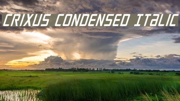 Crixus Condensed Italic Example 2