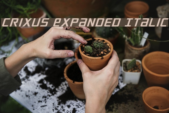 Crixus Expanded Italic Font examples