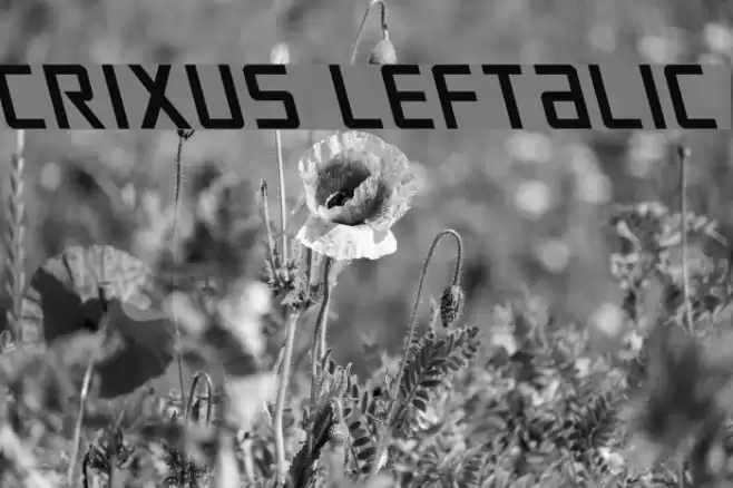 Crixus Leftalic Font examples