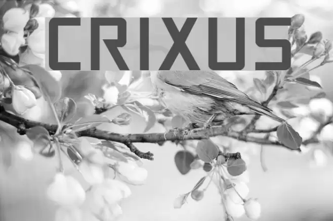 Crixus Font examples