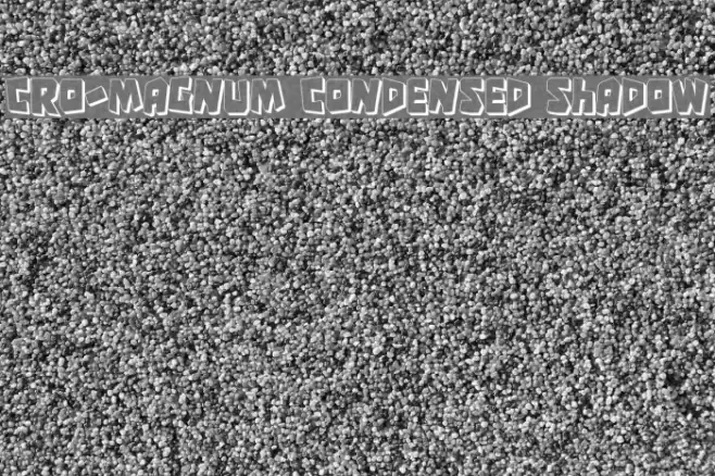 Cro-Magnum Condensed Shadow Polices examples