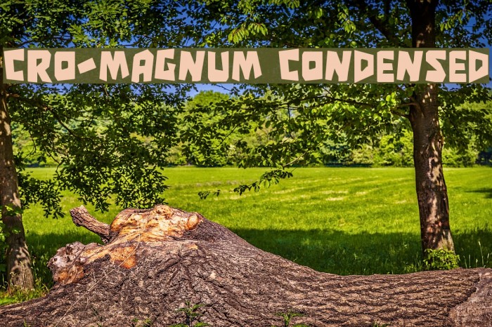 Cro-Magnum Condensed Font examples