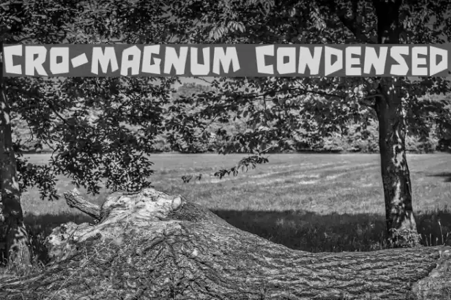 Cro-Magnum Condensed Polices examples