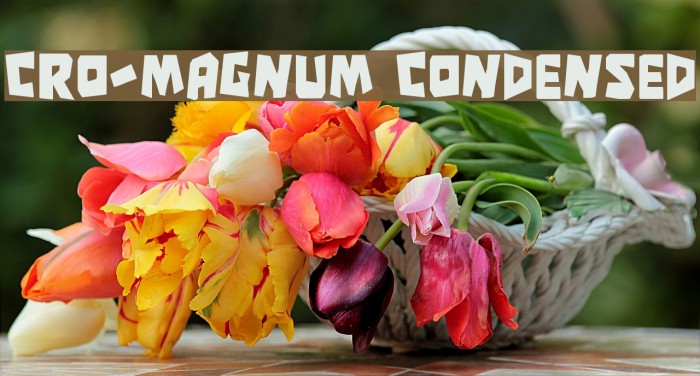 Cro-Magnum Condensed Font examples