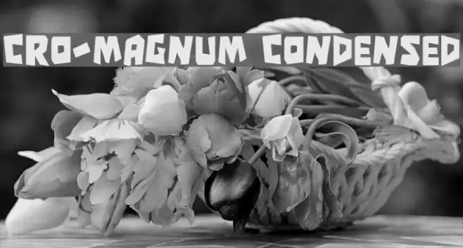 Cro-Magnum Condensed Polices examples
