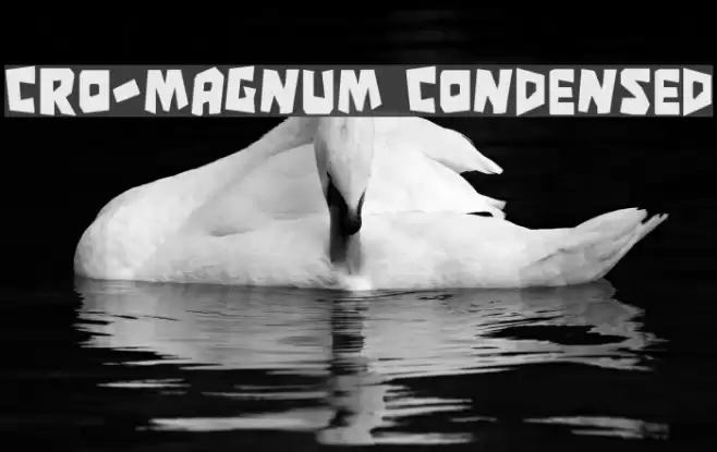 Cro-Magnum Condensed Polices examples