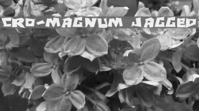 Cro-Magnum Jagged Font examples