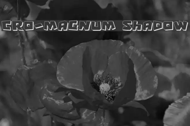 Cro-Magnum Shadow Polices examples