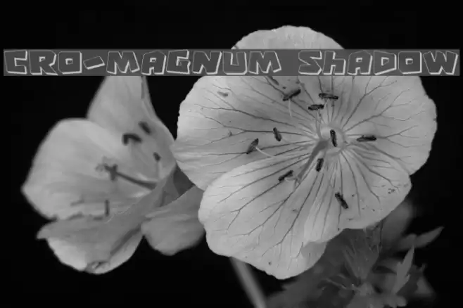 Cro-Magnum Shadow Polices examples