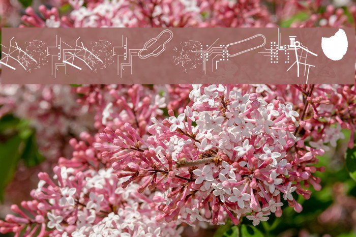 CroCroTraUmAx Example 3