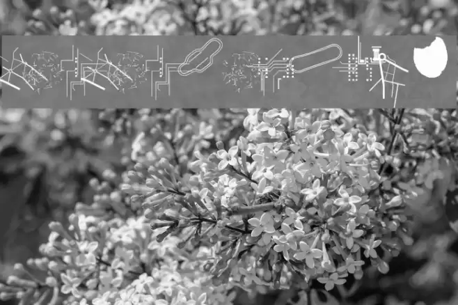 CroCroTraUmAx Font examples