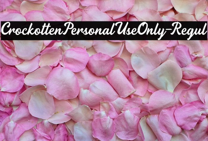 CrockottenPersonalUseOnly-Regul Example 2