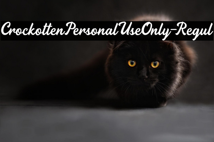 CrockottenPersonalUseOnly-Regul Example 3