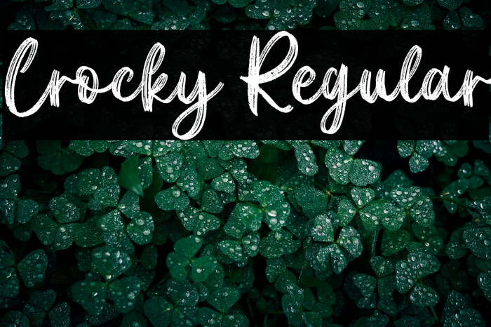 Crocky Regular Example 1