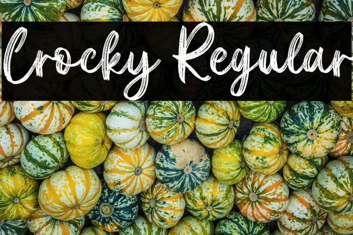 Crocky Regular Example 2