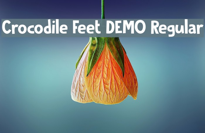 Crocodile Feet DEMO Regular Example 2