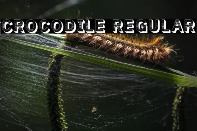 Crocodile Regular Example 1