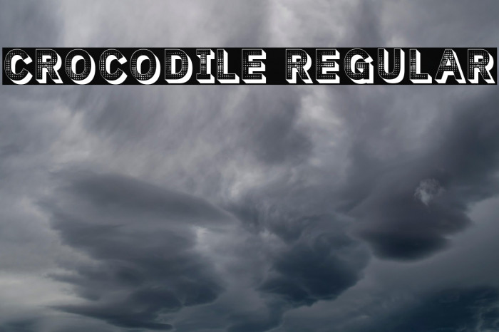 Crocodile Regular Example 2